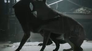Don T Bite The Hand That Feeds You Gif Https Encrypted Tbn0 Gstatic Com Images Q Tbn 3aand9gctopw7bgs8pepiuqe 35kx2ugkpjixskmwg0a Usqp Cau