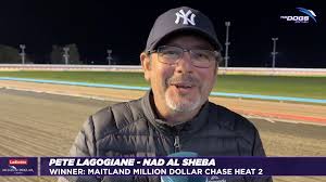 Zipping Garth at Stud Mega Maiden Heat 5