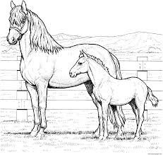 Transformer coloring pages optimus prime 26 coloring. Horse Family Coloring Pages Printable