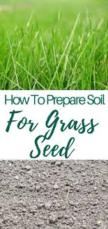 Leaves, straw, and grass clippings. Pin On Backyard Ideas