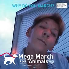 Will there be fireworks