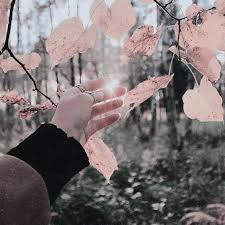 We did not find results for: Someone Touches Autumn Leaves Orange Grey Green Aesthetic Photo Pink Aesthetic White Aesthetic