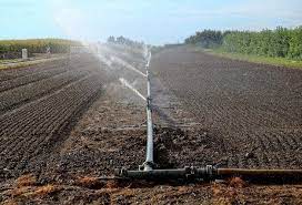 Tipos De Riego Agua Org Mx