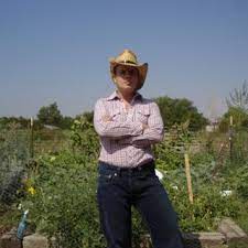 Grow Organic Food Without Spending Growing Organic Food Grow Organic Organic Recipes