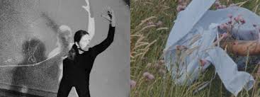 Image result for Banzai Blue 1993 Shadow