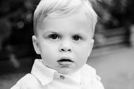 sdreeves photography