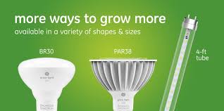 It is better to try this product before considering any other t8 bulbs. Ge Grow Light 18w Balanced Spectrum Led G13 Base 48 T8 Tube 1 Pack 93120244 Reno Depot