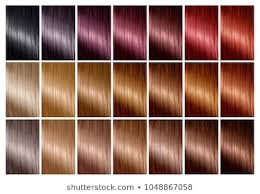 Blond Brown Red Hair Images Stock Photos Vectors