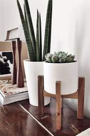 Inspiration Succulent Cacti Vignettes Plant Decor Interior Plants Indoor Plants
