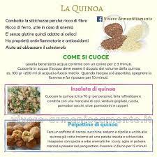 La Quinoa Dieta Saludable Comida Sana Quinoa