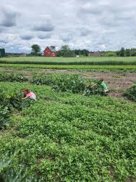 Profile for U Pick It Farm