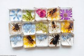 How to air dry flowers. Preserving Flowers In Resin Guide On How To Preserve Flowers In Resin