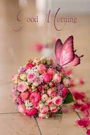 We did not find results for: Flowers Morning Images Gif 3 7 Free Download
