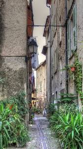 Contrast In Green France Travel Cote D Azur France Europe Tours