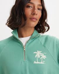 Graphic Dillon Quarter-zip Sweatshirt