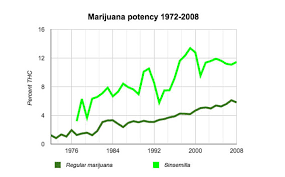 Four Marijuana Related Deaths Reveal The Dangers Of High Potency