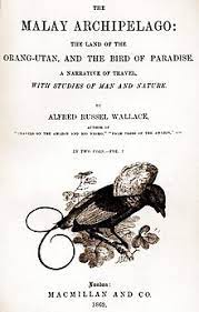 Keep our tips in mind to ensure you use them correctly in your writing. The Malay Archipelago Wikipedia
