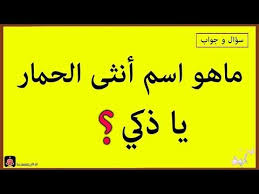 39 أسئلة 2018 ممتعة إذا تجاوزت المرحلة 20 فأنت شخص خارق الذكاء 2 youtube arabic calligraphy calligraphy