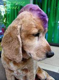 Do not use any hair care and styling after cleaning. Pin On Diy