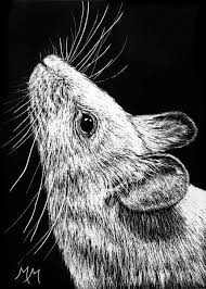 Pin On Ss Aceo Original Art Cards