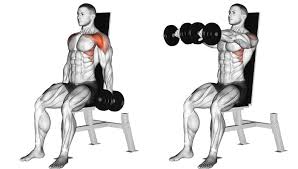 Hold the dumbbells with your arms fully extended down by your thighs in front of you body. How To Build Your Front Deltoids With Dumbbell Front Raises