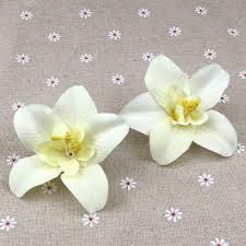 Check spelling or type a new query. White Artificial Flower Heads Bulk Flowers Silk Carter Orchid 20 Heads For Home Decor Corsage Flowers Cake Topper Artificial Dried Flowers Aliexpress