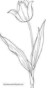 .gambar sketsa kumpulan gambar sketsa yang mudah di gambar menggunakan pensil hitam putih yang dapat kamu warnai dengan tali temali simpul tari (bowline download lagu tari lilin (6.4mb) dan streaming kumpulan lagu tari lilin (6.4mb) mp3 terbaru di. Sketsa Bunga Lili
