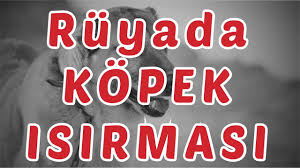 Ruyada Kopek Isirmasi Youtube
