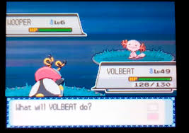 These are the number of wooper(s) that are with trainers on delugerpg. 4 Sbq 2 Shiny Wooper After 5 026 Res In Heartgold Shinypokemon