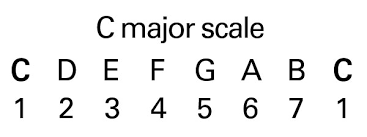 What Are The Best Beginner Guitar Scales To Learn