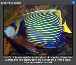 National Aquarium In Washington Dc Virtual Tour Virtual Tour Tours Virtual Field Trips