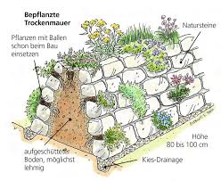 Bild Bepflanzte Trockenmauer Seite 3678 14639 Familienheim Und Garten Trockenmauer Garten Bepflanzung