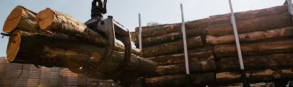 Firewood is cut around 16. Kiln Dried Or Seasoned Logs Stovax Gazco