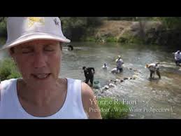 Drought brings California gold prospectors back to life