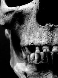 The most common black and white skulls material is metal. Black And White And Skull Image 583877 On Favim Com