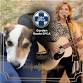 Get together and dance for animals
