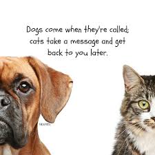 The Best Funny Quotes About Pets Dogs And Cats Cats Dogs Funny Pets Quotes Inspirational Cat Quotes Cat Quotes Inspirational Cats