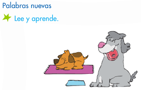 Resultado de imagen de los aumentativos 2º primaria