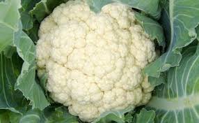 Bunga kol atau sering disebut dengan kembang kol merupakan salah satu jenis sayuran yang memiliki manfaat berlimpah untuk hidup kita. 4 Sayuran Yang Bikin Gendut Madjongke