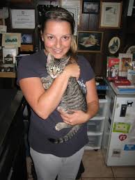 Many cat foods designed for senior cats contain probiotics which help promote a healthy stomach and digestive system. Bam Bam 5 Month Old Bengal Kitten Morris Hills Veterinary Clinic