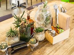 Exotic flowers, love flowers, saintpaulia, summer plants, flower tea, farm yard, day lilies, outdoor plants, container plants. Kings Garden Cafe Henderson Fresh Balanced Food And Coffee