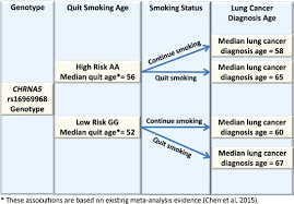 In general, about 13% of all lung cancers are sclc, and 84% are nsclc. Genetic Risk Can Be Decreased Quitting Smoking Decreases And Delays Lung Cancer For Smokers With High And Low Chrna5 Risk Genotypes A Meta Analysis Ebiomedicine