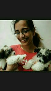 While the cost of boarding your dog may depend on a number of circumstances, most companies charge per day and/or night. Dubai Doggy Daycare Prices Reviews Petbacker