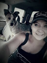 Does anyone else have a Heeler with their own cat….?