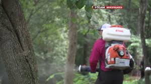 Maybe you would like to learn more about one of these? Is Your Mosquito Spray Killing Pollinators Like Bees And Butterflies Abc11 Raleigh Durham