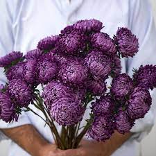 Pin On Flower Arrangement Class