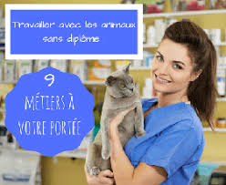 Agent d'entretien, agent de sécurité, employé(e) libre service, vendeur(se) en magasin, préparateur de commande, serveur, plongeur(se) en restauration, ouvrier(ère) agricole saisonnier. Travailler Avec Les Animaux Sans Diplome 9 Metiers A Votre Portee