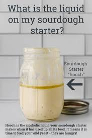 Feeding Your Sourdough Starter The Gingered Whisk