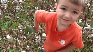 High Cotton with Josh Ogle 2012