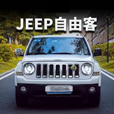 Image result for Bright White 2013 Patriot